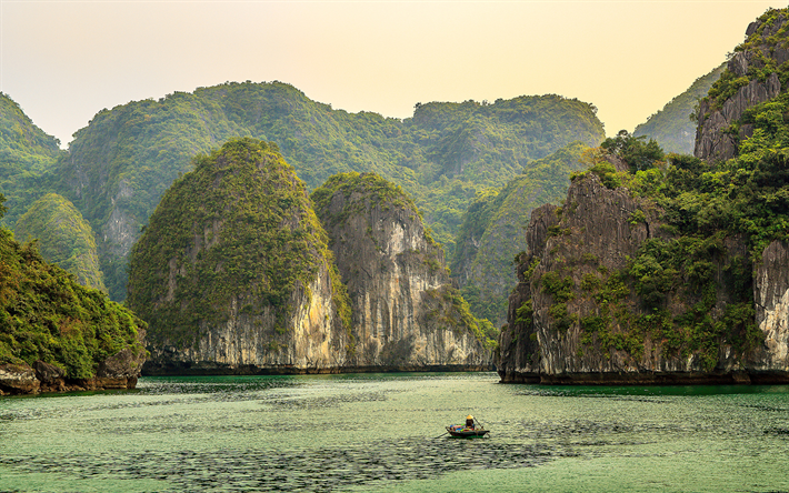 Le Vietnam, la mer, les montagnes, les rochers, en bateau, en Asie
