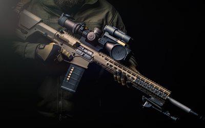 AR-15, アメリカの半自動ライフル, 556x45mm, アサルトライフル, ArmaLite, レコルト, Bushmaster, 岩川武, クワガタの武器, DPMSパンサーの武器, オリンピック武器