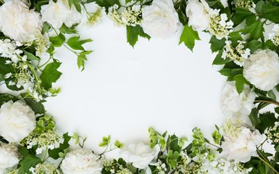 flower frame, white spring flowers, white roses, white flowers frame, white background