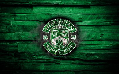 Hibernian FC, fiery logo, Scotland Premiership, green wooden background, scottish football club, grunge, football, soccer, Hibernian logo, fire texture, Scotland
