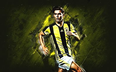 Ferdi Kadioglu, Fenerbahce, midfielder, yellow stone, portrait, famous footballers, football, dutch footballers, grunge, Turkey