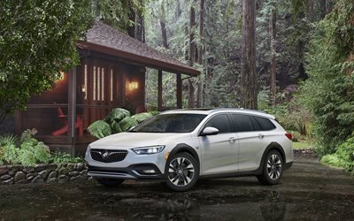 Buick Regal TourX, 2018 cars, forest, wagons, Buick