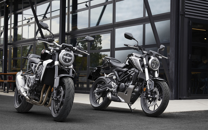 Honda CB300R, 4k, Honda CB1000R, 2019 cyklar, inst&#228;llda t&#229;g, Honda