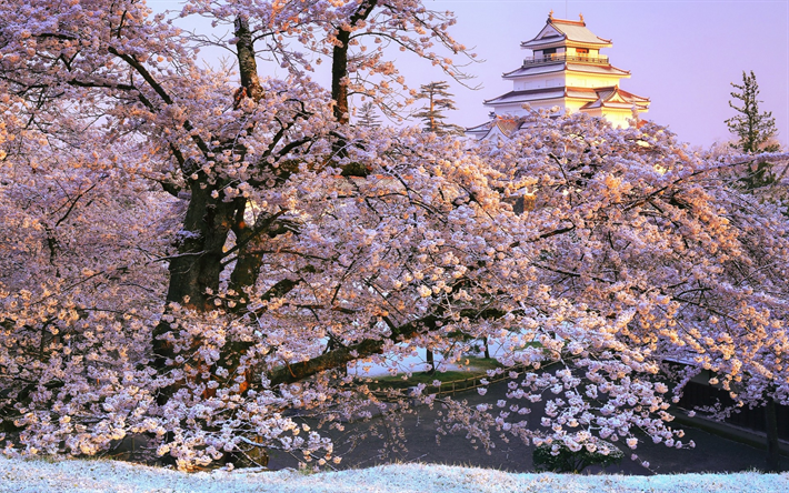Tsuruga القلعة, فوكوشيما, جميلة القلعة اليابانية, الربيع, ساكورا, قلعة من القرون الوسطى, أيزواكاماتسو القلعة, أيزواكاماتسو, اليابان