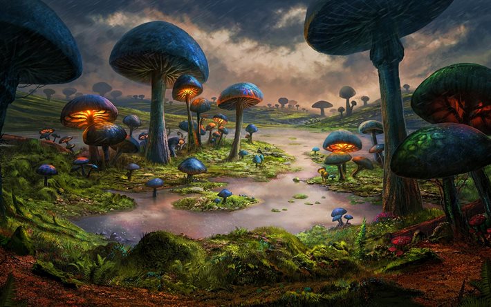 floresta fant&#225;stica, Arte 3D, cogumelos, vale, rio, fantasia paisagens