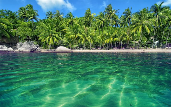 tropische insel, sommer, blaue lagune, palmen, sommer-reisen, malediven