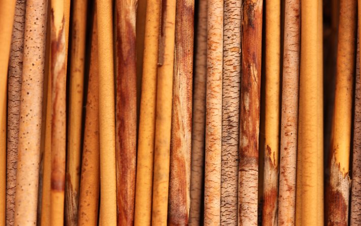 bamboo sticks, 4k, macro, brown bamboo, bamboo canes, vertical bamboo sticks, bambusoideae sticks, close-up, background with bamboo, bamboo