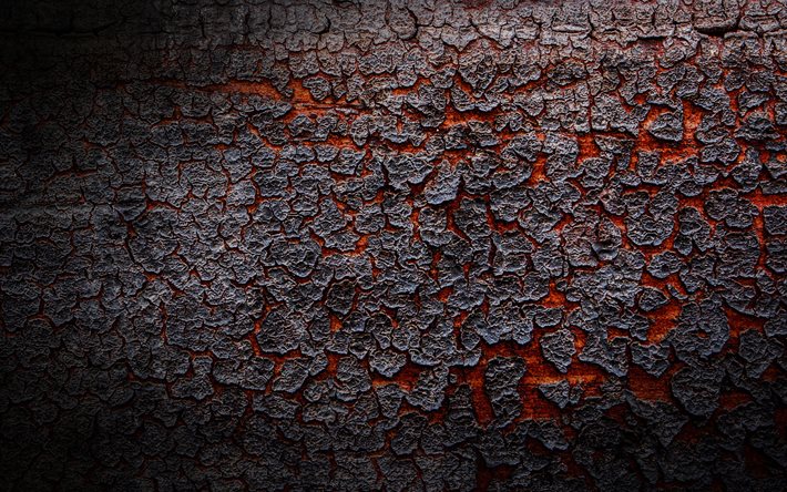 grigio corteccia di albero, 4k, close-up, sfondi in legno, corteccia di albero, di legno, corteccia, luce, albero, sfondi, texture di legno
