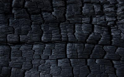 carbonizzati, albero, macro, albero bruciato, bruciato in legno, texture, carbone texture, grunge background, nero texture legno, carbone di legna