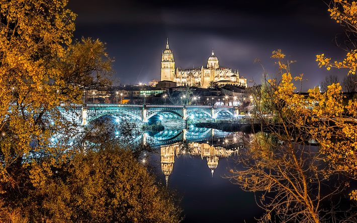 Enrique Estevan Bridge, spanska st&#228;der, Katedralen I Salamanca, Floden Tormes, natt, Salamanca, Spanien, Europa