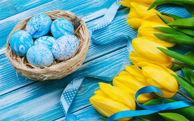 Blue Easter Eggs, yellow tulips, spring yellow flowers, eggs in the nest, Easter background, blue wooden background, Easter