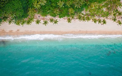 ocean coast, view from above, palm trees, beach, tropical island, top view, waves, summer, island from above