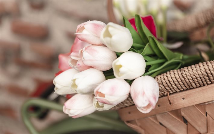 tulipes roses, de belles fleurs roses, fleurs de printemps, un bouquet de tulipes, de v&#233;los, panier, les tulipes dans un panier
