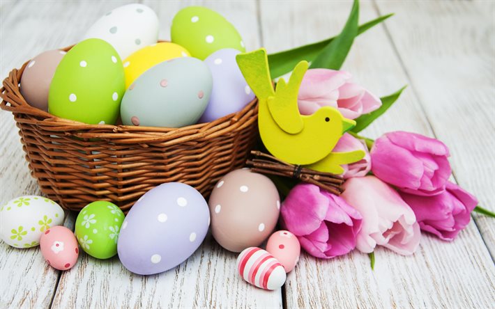 Yumurta boyalı Paskalya yumurtaları, bahar, pembe laleler, Paskalya, sepet, bahar &#231;i&#231;ekleri