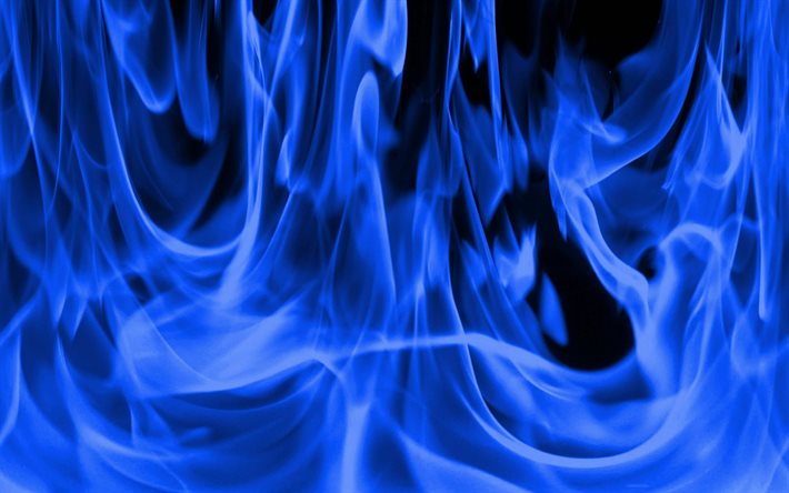 sininen tulipalo, makro, paloliekit, tulipalon tausta, sininen palava tausta, tulipalo, palo-tekstuurit, sininen palo-tausta