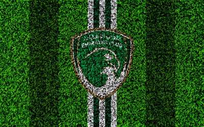 Emirates Club, 4k, United Arab Emirati football club, logo, grass texture, football field, green white lines, Ras Al Khaimah, United Arab Emirates, football, UAE Pro-League, Arabian Gulf League