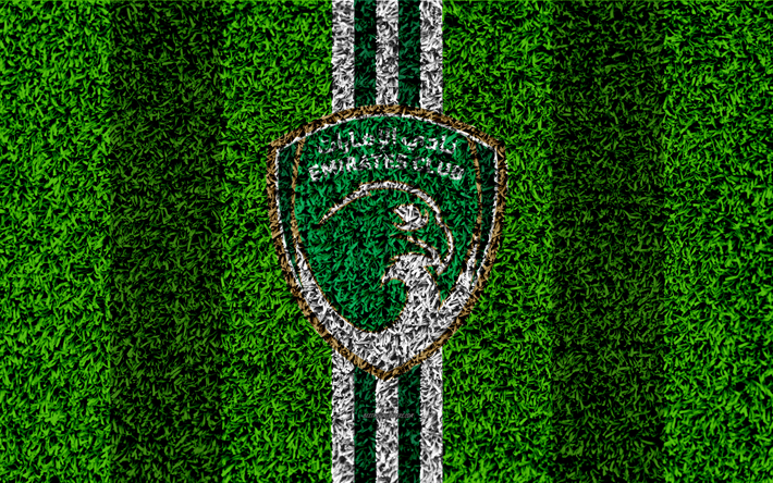 Club de los emiratos, 4k, emiratos &#193;rabes Unidos Emiratos &#225;rabes unidos club de f&#250;tbol, el logotipo, la textura de la hierba, campo de f&#250;tbol, verde l&#237;neas blancas, Ras Al Khaimah, Emiratos &#193;rabes Unidos, el f&#250;tbol, los 