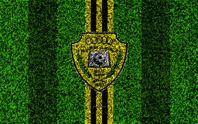 Al Wasl FC, 4k, United Arab Emirati football club, logo, grass texture, football field, yellow black lines, Dubai, United Arab Emirates, football, UAE Pro-League, Arabian Gulf League