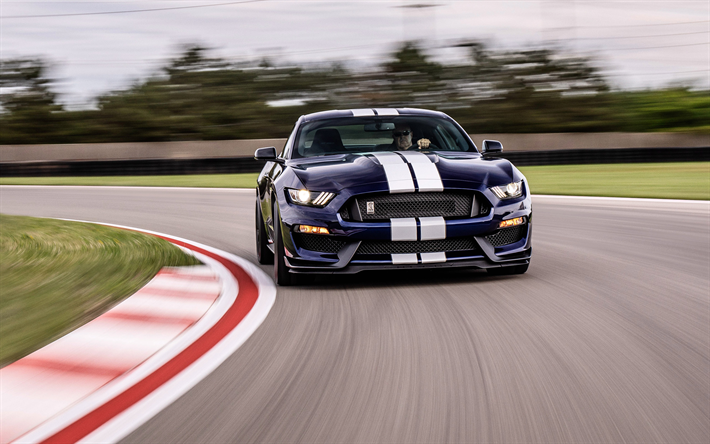 Ford Mustang Shelby GT350, 2019, front view, blue sports coupe, racing cars, new blue Mustang, tuning, racing track, American sports cars, Ford