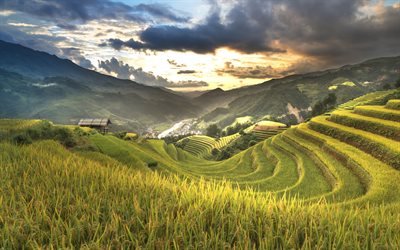 bergslandskapet, dalen, terrasser, Vietnam, kv&#228;ll, sunset, berg