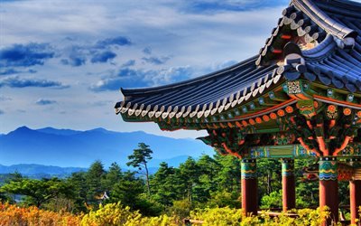 Sydkorea, templet, skogen, asiatisk arkitektur, Asien