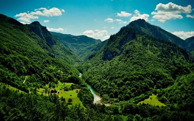 الجبل الأسود, الصيف, الجبال, نهر, الغابات, أوروبا