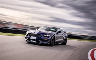 Ford Mustang Shelby GT350, 2019, pista de carreras, vista de frente, de nuevo Mustang, exterior, ajuste de velocidad, American supercars, Ford