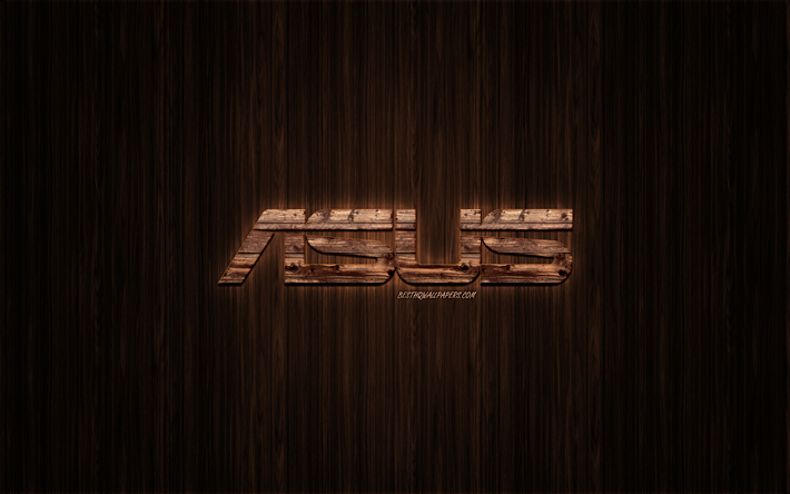 Asus logo, wooden logo, wooden background, Asus, emblem, brands, wooden art