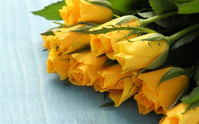 bouquet de roses jaunes, macro, bouquet de roses, bokeh, des fleurs jaunes, des roses, des bourgeons