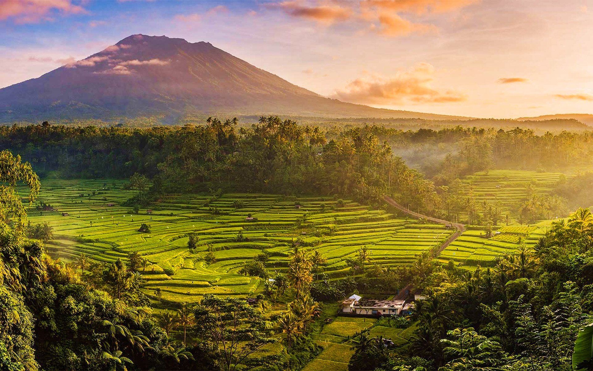 Download Wallpapers Bali Rice Fields Sunset Summer Indonesia