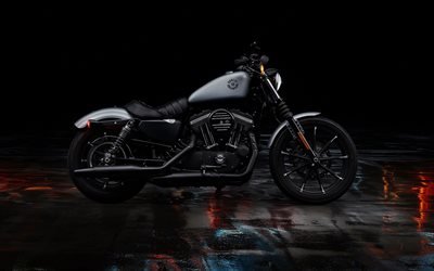 A Harley-Davidson Sportster Iron XL 883, vista lateral, 2020 motos, su[erbikes, americana de motocicletas, A Harley-Davidson