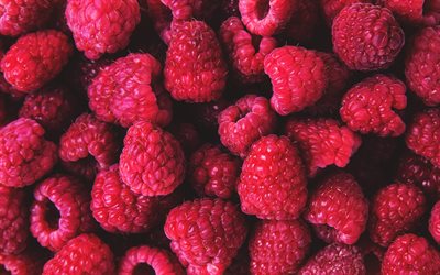 4k, raspberries, berries, background with raspberries, ripe raspberries, berries background
