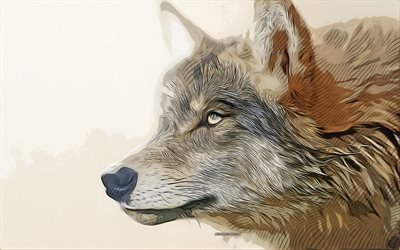 wolf, 4k, vector art, wolf drawing, creative art, wolf art, vector drawing, abstract animals, predators, wolves