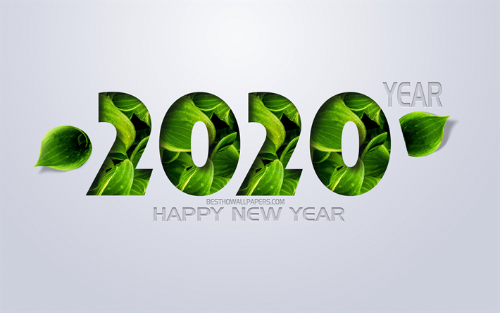 2020 conceptos, Feliz A&#241;o Nuevo, eco conceptos de 2020, A&#241;o Nuevo, hojas verdes, arte creativo