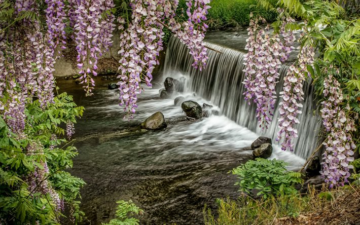 waterfall, river, spring flowers, mountain river, beautiful waterfall, Japan