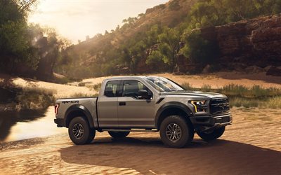 Ford F-150 RAPTOR, 2018, gray pickup truck, side view, new Raptor, American cars, Ford