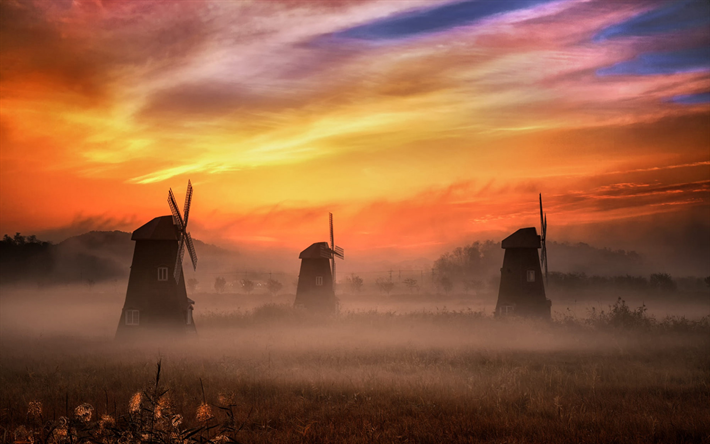 morning, sunrise, mills, field, fog, beautiful landscape