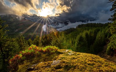 White Pass, 4K, raggi di sole, tramonto, montagne, paesaggi serali, Washington, USA, bellissima natura, America