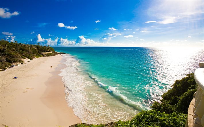 beach, ocean, shore, coast, palm trees, sand