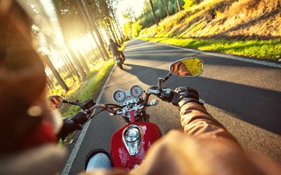 andar de moto, motociclistas, outono, floresta, estrada de asfalto, moto tr&#225;fego