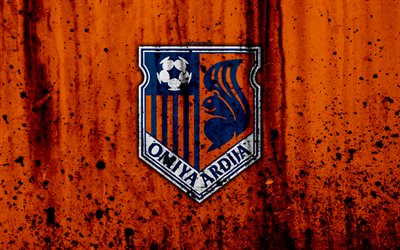 FC Omiya Ardija, 4k, logotyp, J-League, sten struktur, Japan, Omiya Ardija, fotboll, football club, Omiya Ardija FC