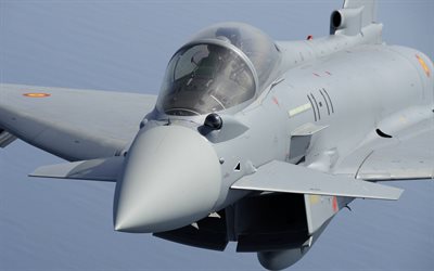 El Eurofighter Typhoon, el luchador, la Fuerza A&#233;rea espa&#241;ola, SPAF, aviones de combate, aviones militares, Espa&#241;a