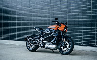 4k, Harley-Davidson LiveWire, sokak, 2019 bisiklet, elektrikli motosiklet, Harley-Davidson, superbikes