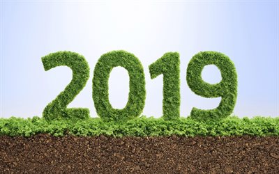 2019 year, herbal numbers, eco concepts, green grass digits, 2019 concepts, New Year