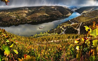 Valenca Do Douro, yaz, G&#252;n batımı, &#252;z&#252;m bağları, nehir, Avrupa, Portekiz