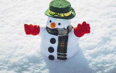 bonhomme de neige, no&#235;l, hiver, neige, bonhommes de neige, des jouets, des flocons de neige, chapeau vert, rouge mitaines