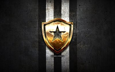 Botafogo FC, logo oro, Serie A, metallo nero di sfondo, il calcio, il Botafogo FR, brasiliano del club di calcio, il Botafogo FC logo, calcio, Brasile