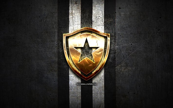 Botafogo FC, de oro logotipo de la Serie a, el black metal de fondo, el f&#250;tbol, el Botafogo FR, brasile&#241;a de f&#250;tbol del club, Botafogo FC logo, futbol, Brasil