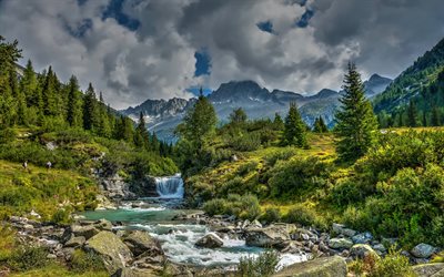 Le trentin, Alpes, montagne, rivi&#232;re, paysage, for&#234;t, arbres verts, Italie