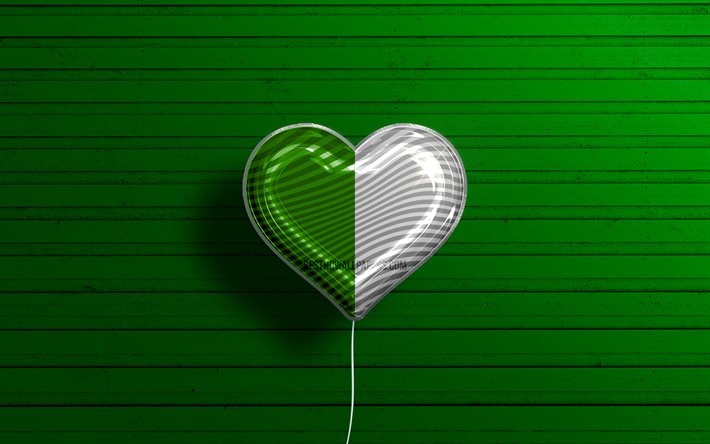 J&#39;aime Fermanagh, 4k, ballons r&#233;alistes, fond en bois vert, Jour de Fermanagh, comt&#233;s irlandais, drapeau de Fermanagh, Irlande, ballon avec drapeau, comt&#233;s d&#39;Irlande, Fermanagh